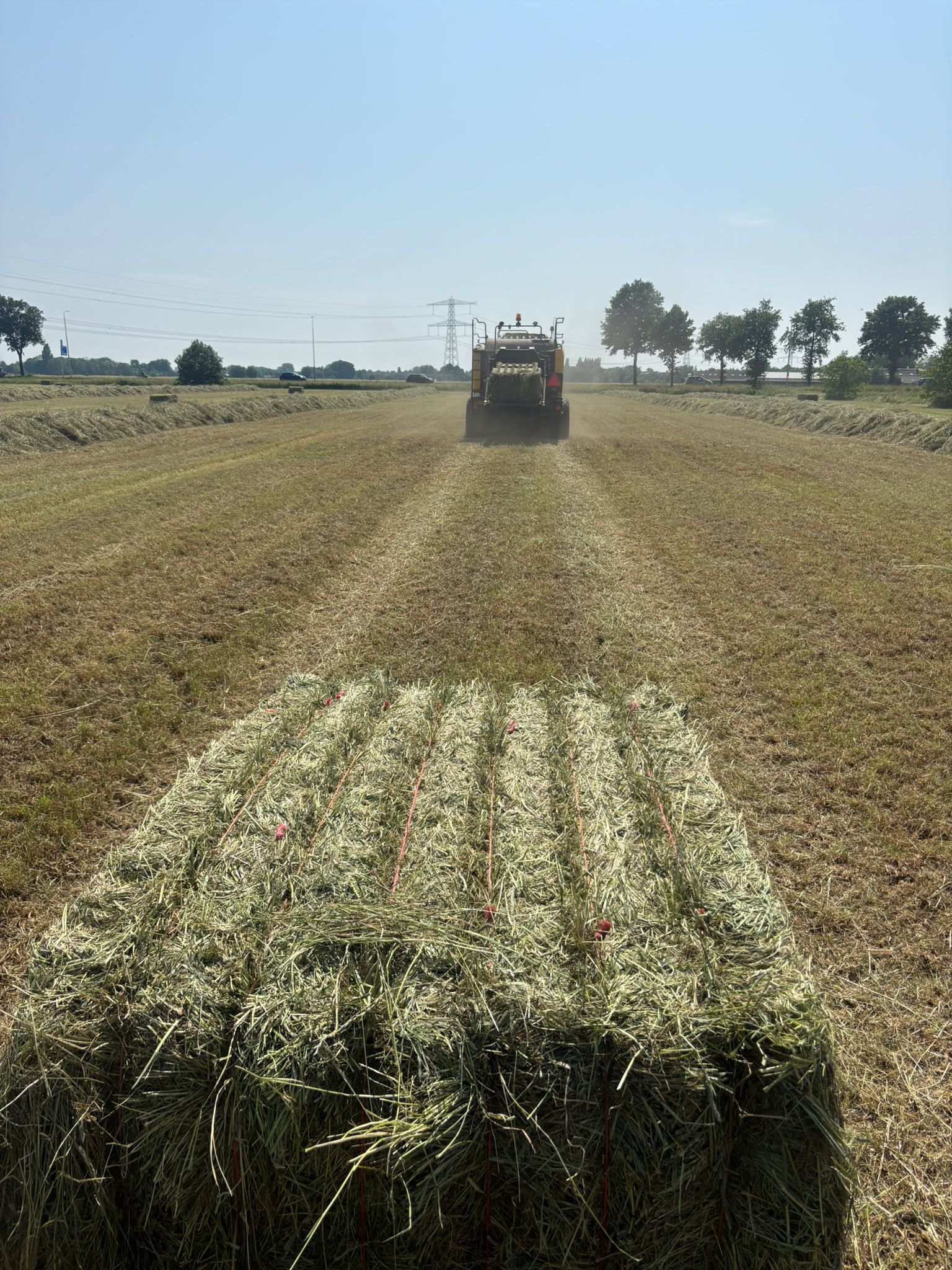 Weidehooi (vierkant) 120*90*240